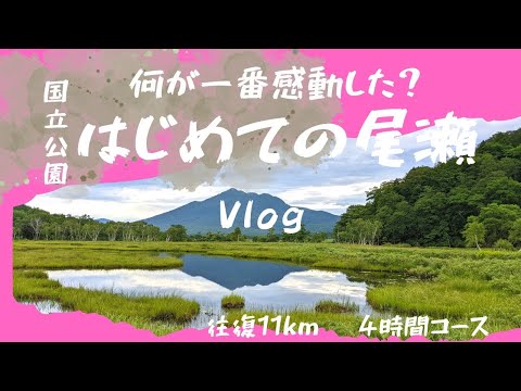 何が一番感動した！？深夜発はじめての尾瀬 2022.8