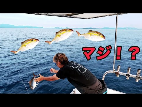 【魚をリリースしたら・・・】