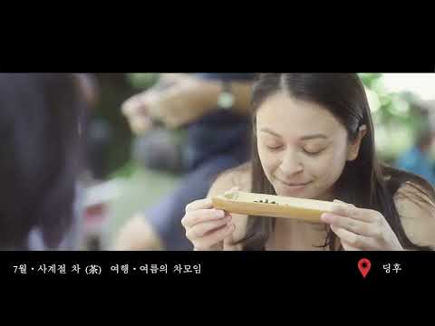 당신의 상상을 뒤엎는 아리산 (阿里山顛覆你的想像)