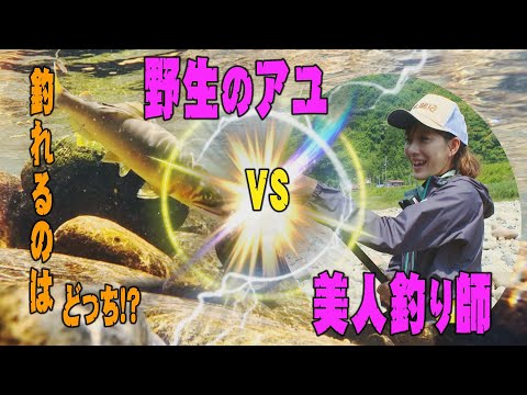 【鮎友釣り】　野生のアユ　VS　美人釣り師～上巻