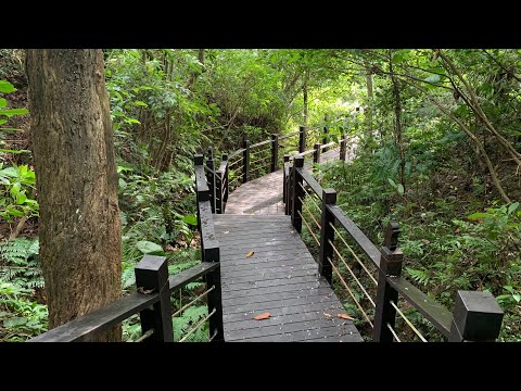 貓空健康步道與小天空步道O型