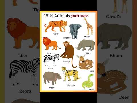 10 wild Animals / 10 Jangali Janver ke Naam in english #animalnames #animals #shorts #english