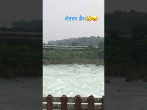 🙀😲Nagal dam 🌊🌫️water over flow🌊🫧🌪️💫