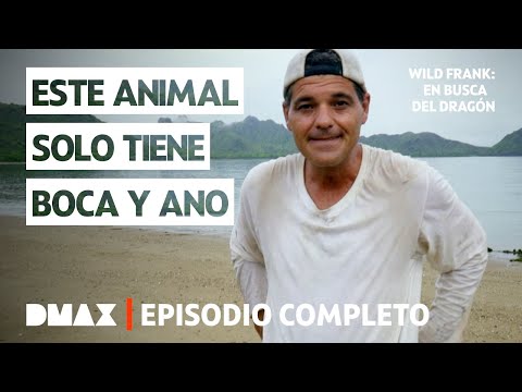 Murciélagos, cucarachas y mucha mierda | Episodio 4 Completo | Wild Frank: En busca del dragón 🐲