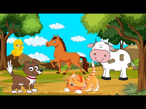 Hello Animals | Animal Sounds Song | LittleKidsTV