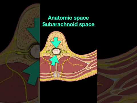 Testing Spinal cord and Nerves Part C #shorts