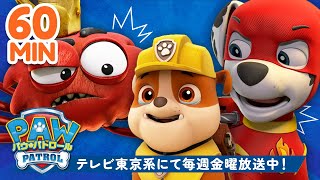 パウ・パトロール | パウ・パトロールの巨大なレスキュー特集！🙀 | テレビ東京系にて放送中