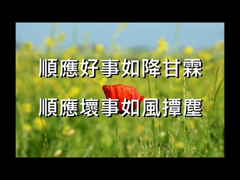 【奧麗佛身心靈成長開發中心】奧麗佛語錄 20191113