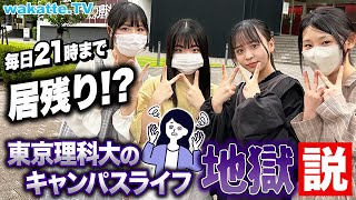 【びーやまに異変】東京理科大、忙しすぎてキャンパスライフ地獄説！週4で1限！毎日21時まで課題！？【wakatte TV】#901