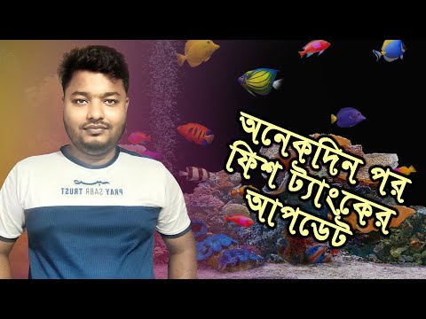 অনেকদিন পর ফিশ ট্যাংকের আপডেট | Fish Aquarium | How To Change Fish Aquarium Water | Mahid Dream Zoo