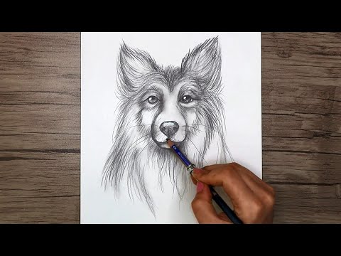 How to Draw a Dog Head with Pencil | Dog Sketch Step by Step