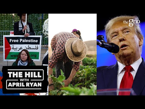 Donald Trump's Racist Statements Continue | The Hill with April Ryan