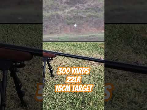 22lr at 300 yards! #ozziereviews #22rimfire #22lr #longrange #longrangeshooting #rimfire #target