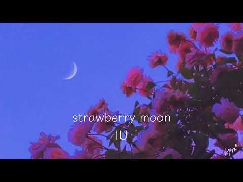 Kpop Playlist Chill/Night/Study (Girls only)