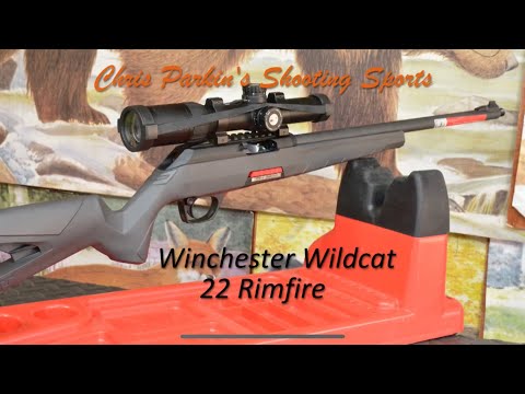 Winchester Wildcat 22 Rimfire Unboxing and first thoughts