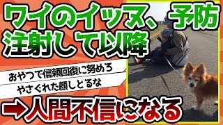 【2ch動物スレ】ワイのイッヌ、予防注射して以降人間不信になってしまう