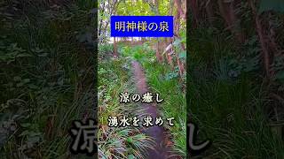 明神様の泉☘️湧水の癒し【東京都八王子市中野山王，子安神社】説明欄に住所等記載してます　#shorts #short #パワースポット