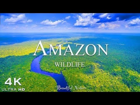 Exploring Majestic Amazon Jungle Waterfalls - A Hidden Paradise| Rainforest Reels | Film..