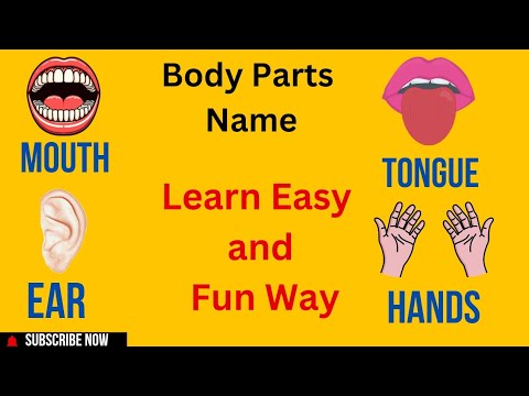 Body Parts Name| Kids Vocabulary|Toddlers Educational videos| #gameplay #education #trending