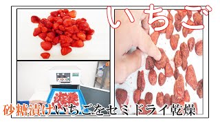 【プチミニⅡ】砂糖漬けしたいちごをセミドライ加工