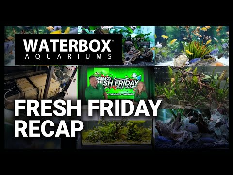 Fresh Friday sales are still going on and today we're reviewing this years event.