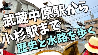 【武蔵中原駅から小杉まで！】歴史ある中原街道から渋川をめぐる旅！