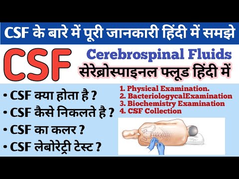 Cerebrospinal Fluid ( CSF ) Collection of CSF | CSF Examination | What is CSF and its function?