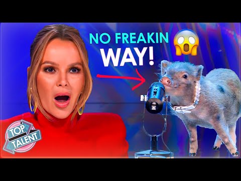 WTF?! Most UNEXPECTED Animal Acts Judges NEVER Saw Coming!