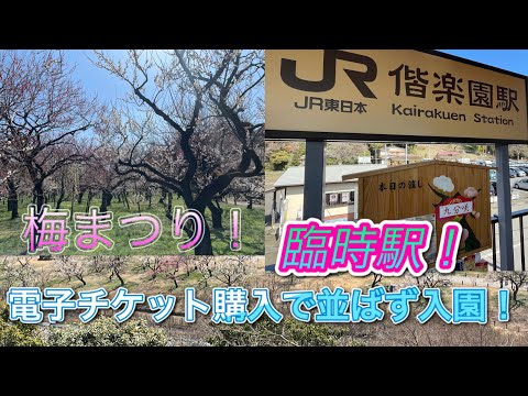 【2月•3月だけの臨時駅！？】偕楽園すぐに入園する方法紹介！電子チケット購入で並ばずに入園！偕楽園梅まつり！