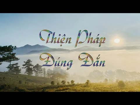 Một Tách Trà | Thiền Pháp Đúng Đắn