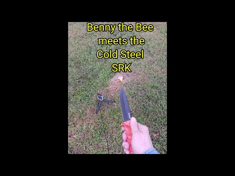 (1434) Benny the Bee 🐝 meets Cold Steel SRK