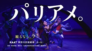 劇団四季：パリのアメリカ人：横浜公演CM