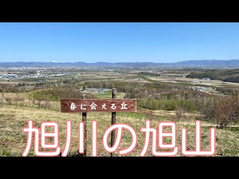 【 旭川近郊の低山を登る】旭山【北海道登山ガイド】夏山