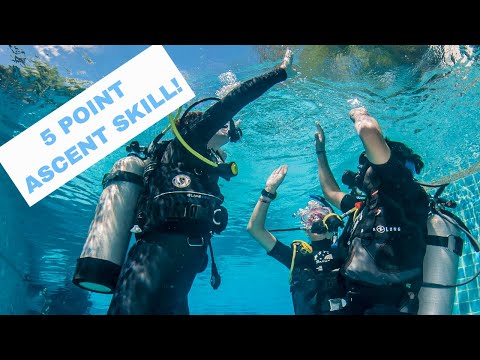 5 Point Ascent 👍 PADI Open Water Diver Course • Scuba Diving Tips