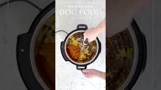 Homemade #dogfood #vetapproved #homemadedogfood #shorts