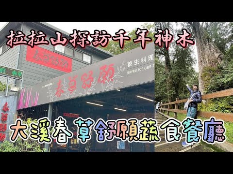 (桃園之旅3) 拉拉山神木&素食大溪春草舒願無菜單養生蔬食餐廳 I 拉拉山森林遊樂區