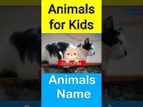 Animals for Kids #animals #shorts #youtubeshorts