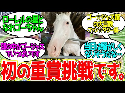 ゴージャス ← 京都11R ファンタジーSに出走決定！！！に対するみんなの反応！【競馬 の反応集】