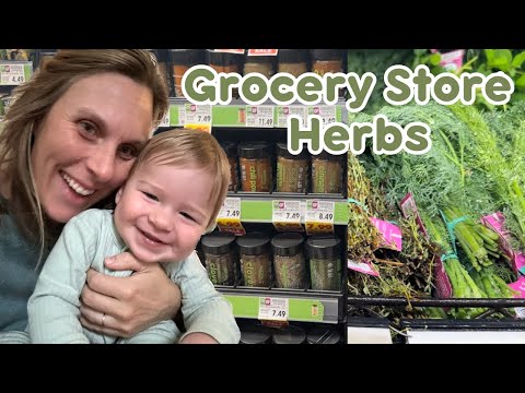 Finding herbs at the grocery store (Also... guess who I met?!)