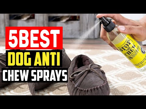 ✅ Top 5 Best Dog Anti Chew Sprays in 2023