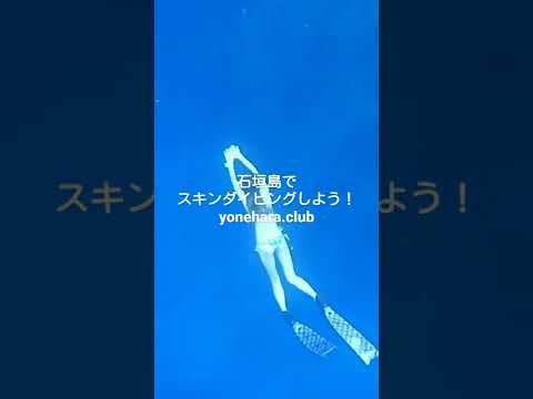 石垣島でシュノーケリングしよう❗