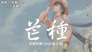 音闕詩聽 - 芒種 (feat.趙方婧)【動態歌詞Lyrics】