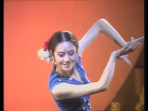 杨丽萍 舞之魂 1989年 春晚 6声道 dtd 3 AI