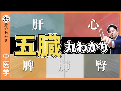 【総集編】中医学の「五臓」を徹底解説！【9割が知らない中医学】