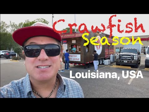 Hot and Juicy Louisiana Crawfish! 🦞2024!