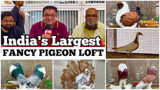 Creekwood Pigeon Loft Pune Part 1 | India’s Biggest Fancy Pigeon Farm