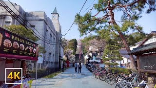 【津山市・観光立市宣言の街】観光センター前〜津山城跡（鶴山公園）入口周辺 | Tsuyama City Walk | 4K + Music | 🇯🇵