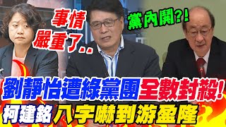 事情大條了?!劉靜怡遭民進黨團"全數封殺"..游盈隆曝柯建銘"一句話"讓他驚嚇 直言"黨的嚴重內鬨"