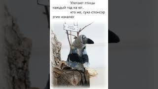 С добрым утречком