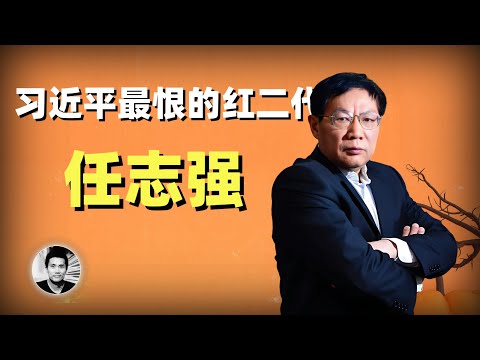 习近平最恨的红二代：任志强的性情人生